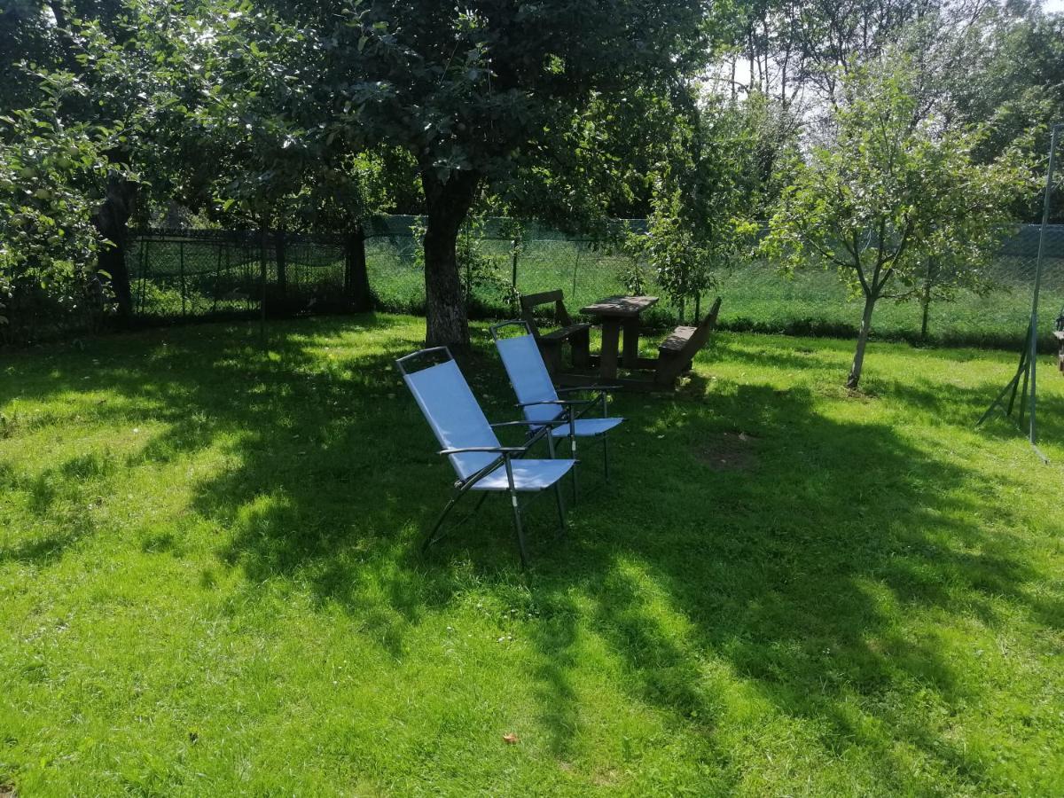 Villa Ortus Novoselitsa (Ivano-Frankivsk)